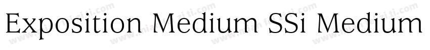 Exposition Medium SSi Medium Italic字体转换